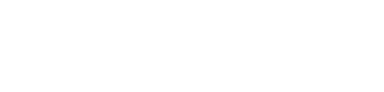 Air Elite Logo